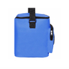 Waterproof Insulated Lunch Cooler Bags With Speaker For Picnic Factory Price